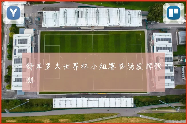 舒库罗夫世界杯小组赛临场发挥预测