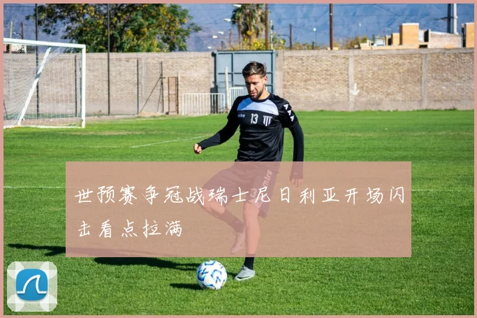世预赛争冠战瑞士尼日利亚开场闪击看点拉满