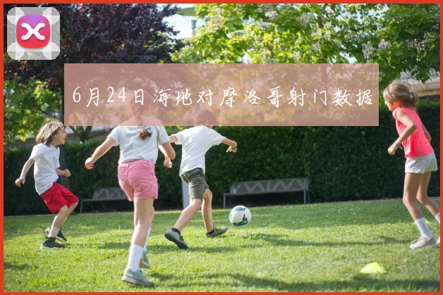6月24日海地对摩洛哥射门数据